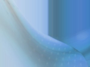 大連市陶瓷有限責任公司